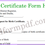 Birth Certificate Form Haryana