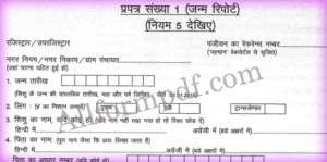 BIRTH CERTIFICATE FORM PDF RAJASTHAN 2025 visual data 6