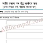 OBC Cast Certificate Form Rajasthan