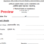 Assam Caste Certificate Application Form