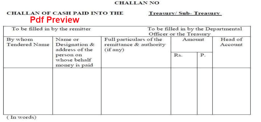 Assam Treasury Challan Form pdf