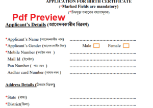 Birth Certificate Form Assam pdf Download 2025 visual data 6