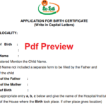 Birth Certificate Form Telangana