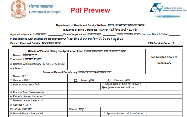 Birth Certificate Punjab Form