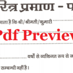 Charitra Praman Patra Form pdf