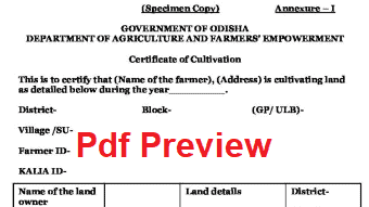 Balaram Yojana Application Form PDF